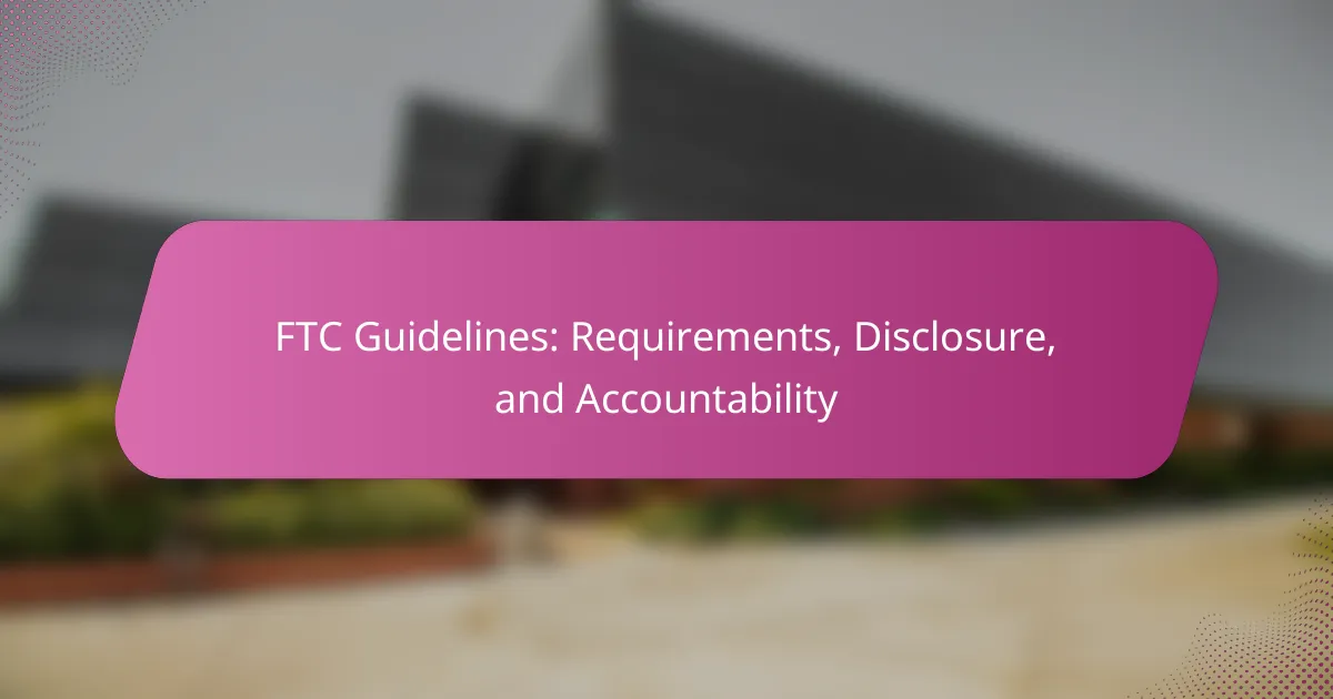 FTC Guidelines: Requirements, Disclosure, and Accountability