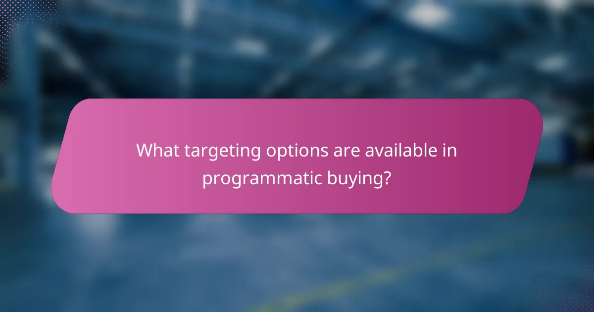 What targeting options are available in programmatic buying?
